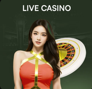 每体：拉伊奥拉和哈兰德的父亲在今早飞抵了巴塞罗那